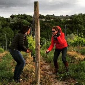 Meet your Posher, Diane